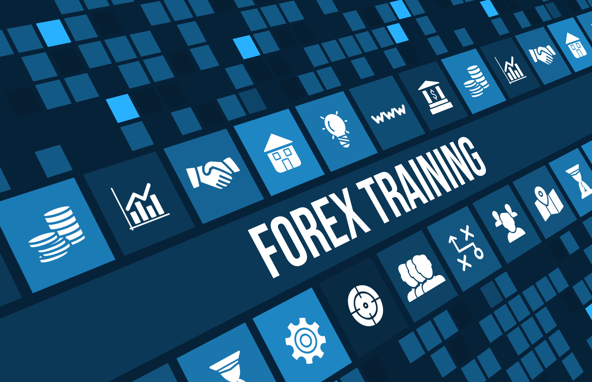 Basix Forex Education