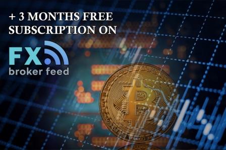 All lessons bundle + 3 months of free subscription on FXBrokerFeed!